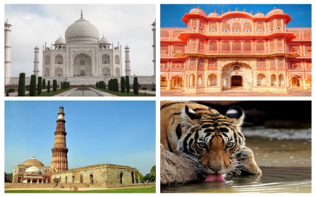 GOLDEN TRIANGLE TOUR WITH RANTHAMBORE
