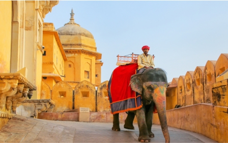 From Delhi : Sunrise Taj Mahal Tour By Car  